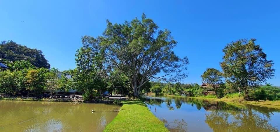Homdoiintr Farmstay ฮ่อมดอยอินทร์ ฟาร์มสเตย์ Ban Huai Kaeo ภายนอก รูปภาพ