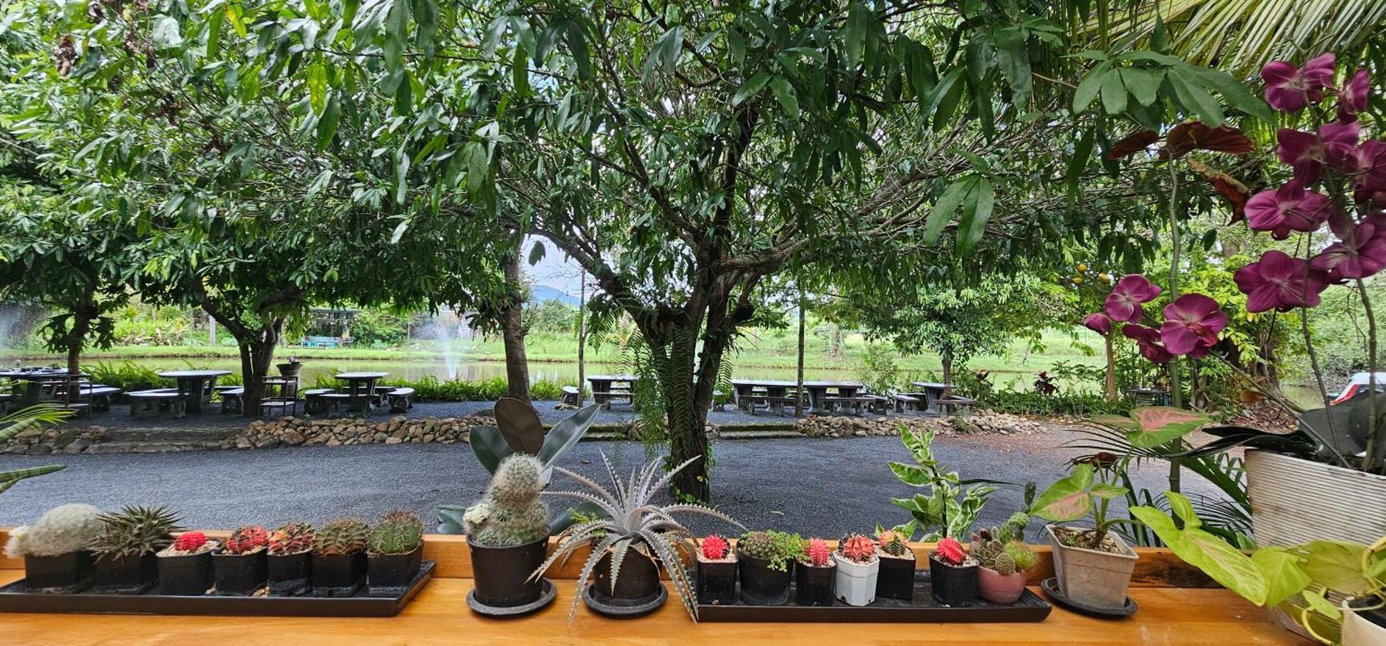 Homdoiintr Farmstay ฮ่อมดอยอินทร์ ฟาร์มสเตย์ Ban Huai Kaeo ภายนอก รูปภาพ