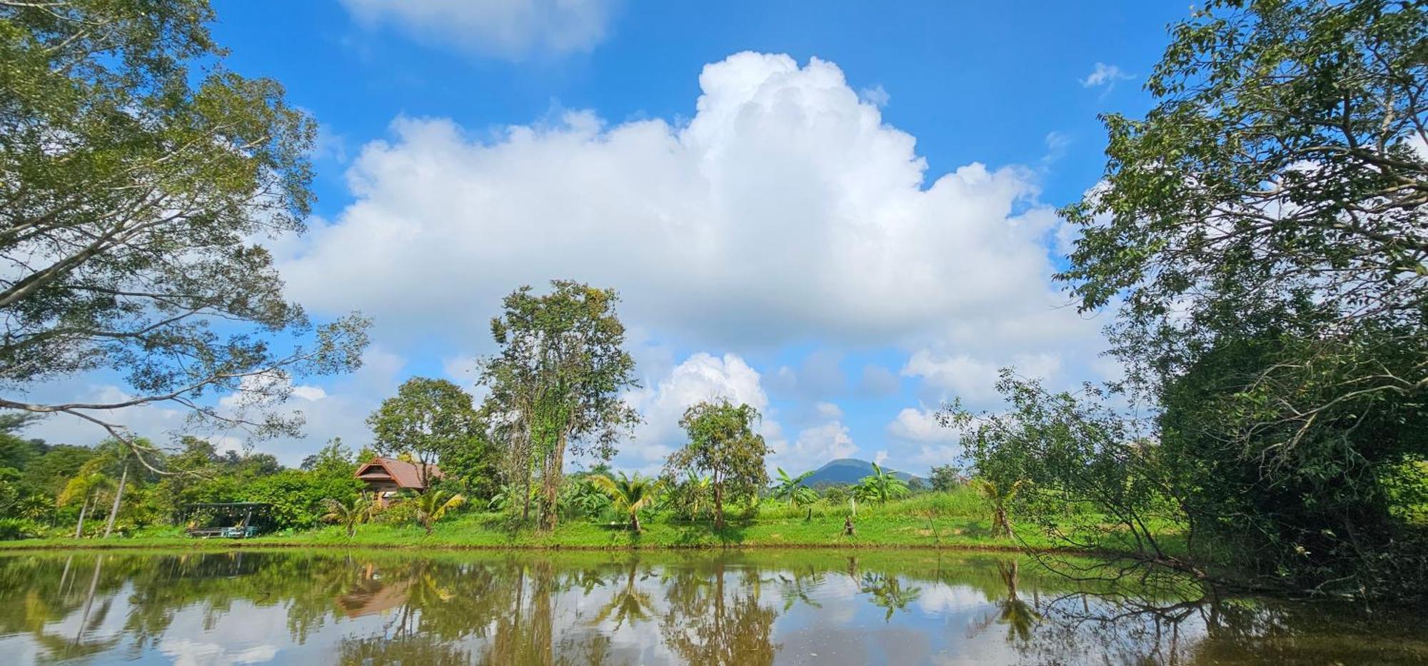 Homdoiintr Farmstay ฮ่อมดอยอินทร์ ฟาร์มสเตย์ Ban Huai Kaeo ภายนอก รูปภาพ