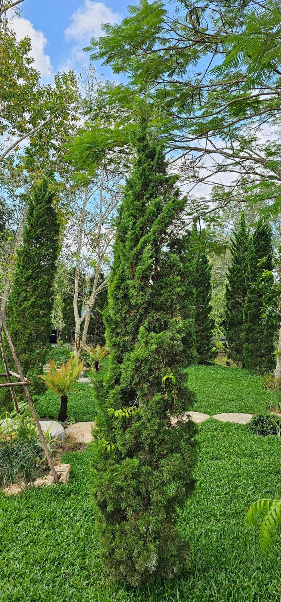 Homdoiintr Farmstay ฮ่อมดอยอินทร์ ฟาร์มสเตย์ Ban Huai Kaeo ภายนอก รูปภาพ