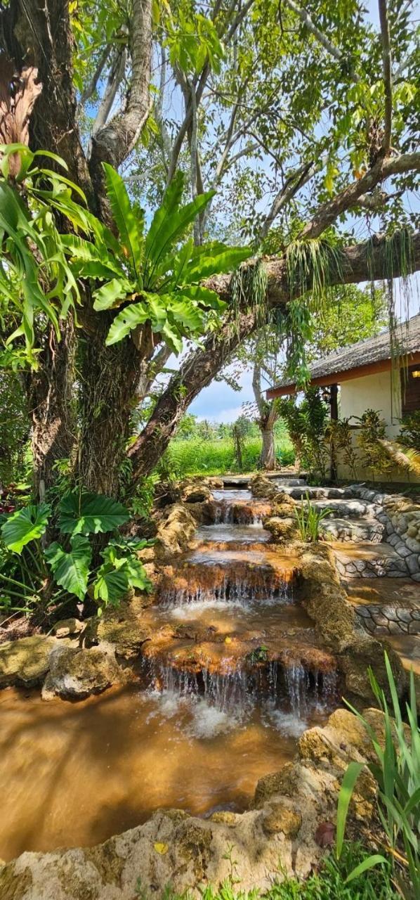 Homdoiintr Farmstay ฮ่อมดอยอินทร์ ฟาร์มสเตย์ Ban Huai Kaeo ภายนอก รูปภาพ
