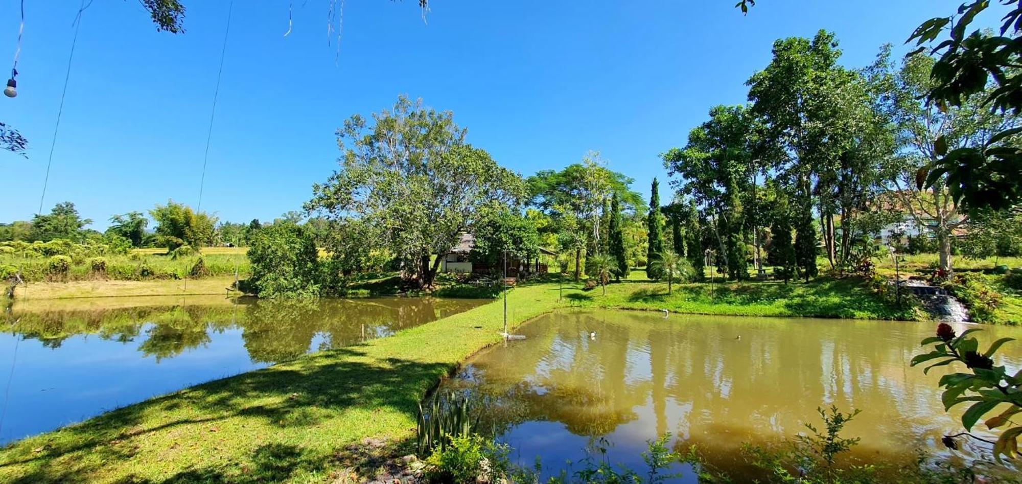 Homdoiintr Farmstay ฮ่อมดอยอินทร์ ฟาร์มสเตย์ Ban Huai Kaeo ภายนอก รูปภาพ